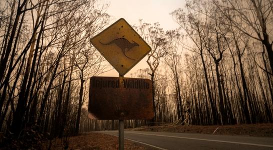 Ozone laws updated as report finds ‘Black Summer’ bushfires damaged the ozone layer