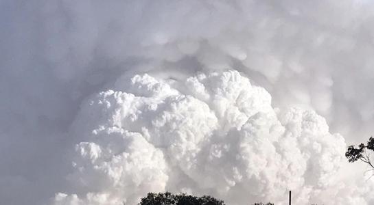 Pyrocumulonimbus  storm clouds